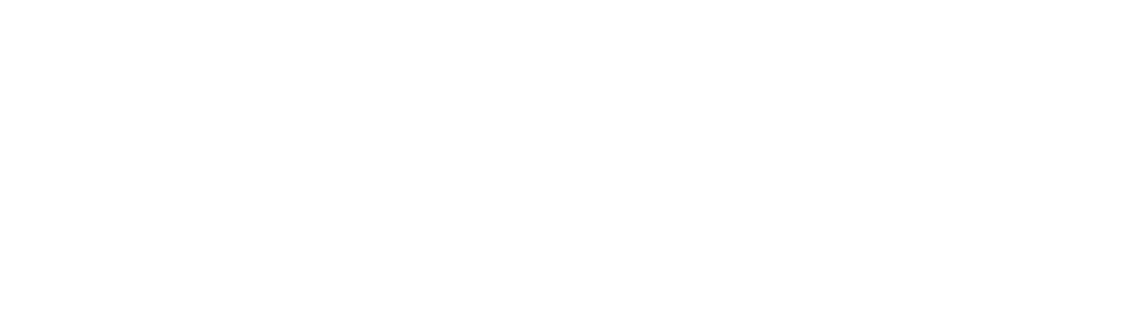 Logo HomeServe 360° weiß